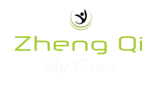 zhengqi logo lille